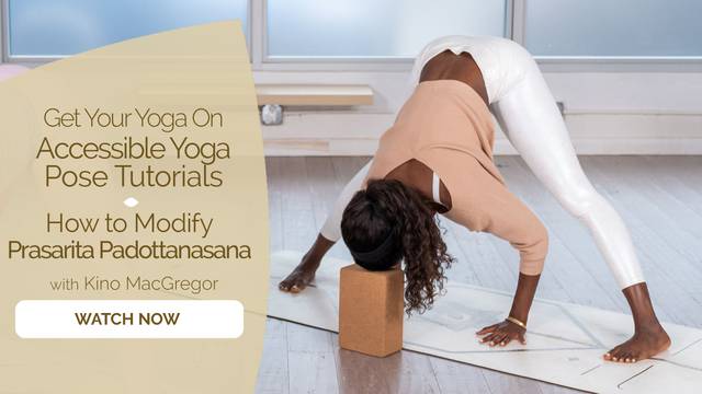 Accessible Yoga Pose Tutorials Practice Courses on Omstars