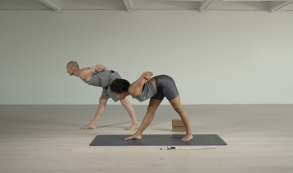 Friendly Ashtanga: A Step by Step Progression - Practice Courses